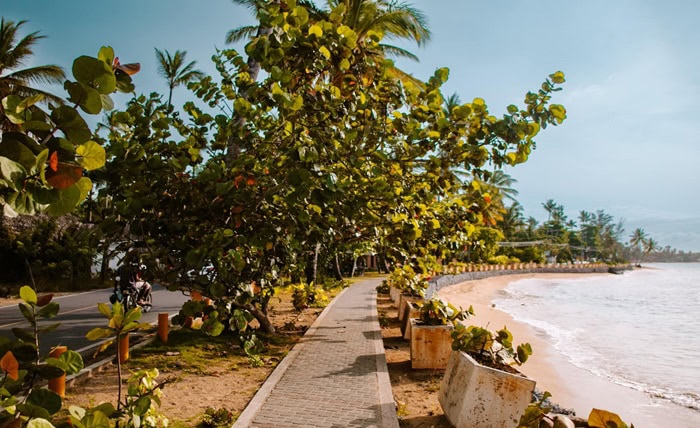 Las Terrenas, Dominican Republic – City Guide Las Terrenas Dominican Republic City Guide