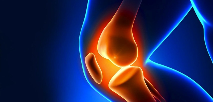 Patellar Tendonitis: How I Finally Recovered From Jumper’s Knee Snip20170116 88