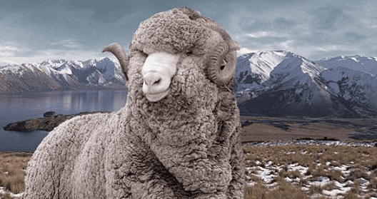 How to Wash Merino Wool: Your Go-To Guide how to wash merino wool 1234567890