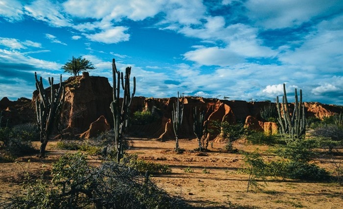 Exploring South America’s Untamed Wilderness Exploring South Americas Untamed Wilderness