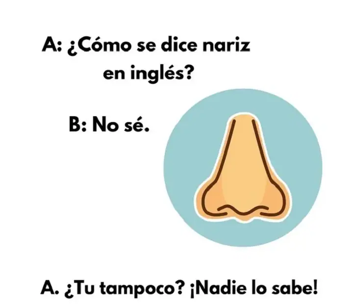 200+ Spanish Puns – Easy and Simple Wordplay for Students Spanish Puns