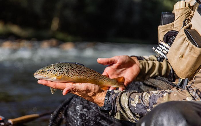 Fly Fishing in Northern Spain: Exotic Traditions, Wild Rivers, and a Memorable Experience Screenshot 10 2