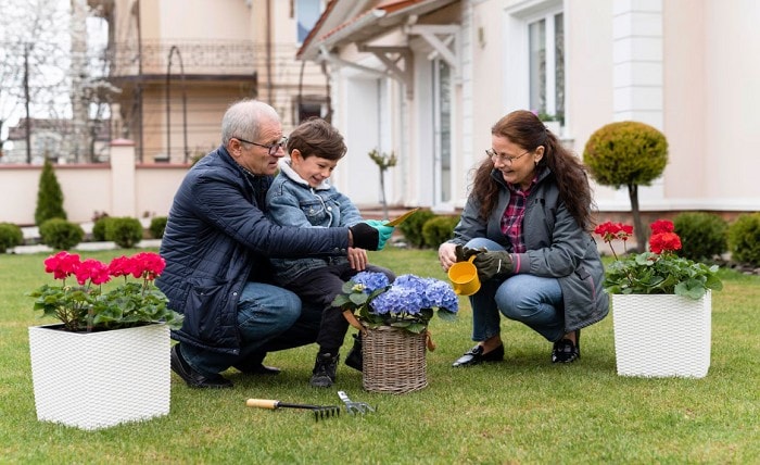 5 Essential Lawn Care Tips Every Fort Worth Homeowner Should Know Screenshot 8 5