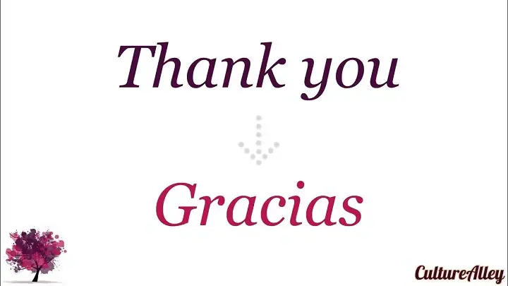 Thank You in Spanish: Meaning, Pronunciation, and Usage thank you in spanish